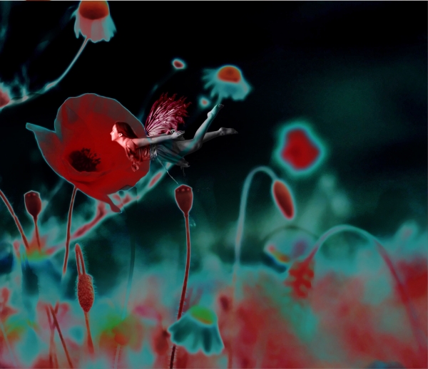 Creation of Poppy Fairy: Step 6